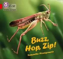 Buzz, Hop, Zip! - Band 02a/Red A - Buzz, Hop, Zip! - Band 02a/Red a