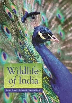 Dzika przyroda Indii - Wildlife of India