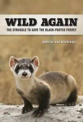 Wild Again: Walka o ocalenie fretki czarnonogiej - Wild Again: The Struggle to Save the Black-Footed Ferret