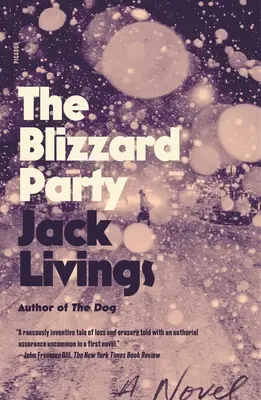 The Blizzard Party