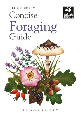 Zwięzły przewodnik żerowania - Concise Foraging Guide