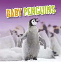 Małe pingwiny - Baby Penguins