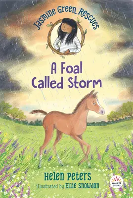 Jasmine Green Rescues: Źrebię o imieniu Storm - Jasmine Green Rescues: A Foal Called Storm