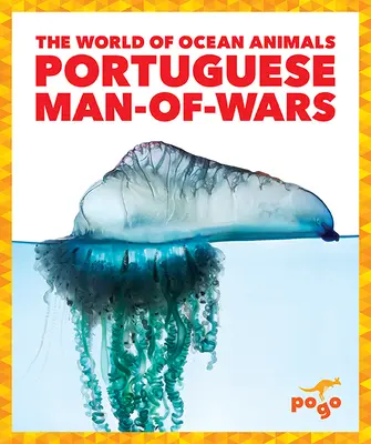 Portugalski człowiek wojny - Portuguese Man-Of-Wars