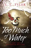 Za dużo wody - trzymająca w napięciu historyczna powieść kryminalna - Too Much of Water - a gripping historical crime novel