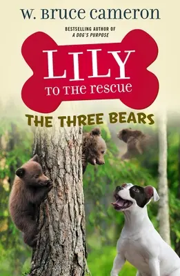 Lily na ratunek: Trzy niedźwiedzie - Lily to the Rescue: The Three Bears