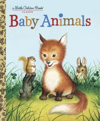 Zwierzęta dla niemowląt - Baby Animals