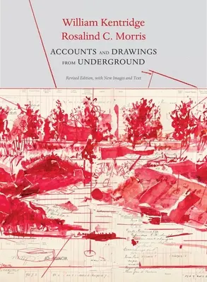 Rachunki i rysunki z podziemia: Księga kasowa kopalni East Rand Proprietary Mines - Accounts and Drawings from Underground: The East Rand Proprietary Mines Cash Book