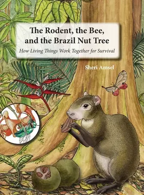 Gryzoń, pszczoła i orzech brazylijski: jak żywe istoty współpracują, by przetrwać - The Rodent, the Bee, and the Brazil Nut Tree: How Living Things Work Together for Survival