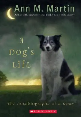 A Dog's Life: Autobiografia zbłąkanego psa (Scholastic Gold) - A Dog's Life: The Autobiography of a Stray (Scholastic Gold)