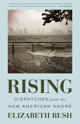 Powstanie: Dysputy z nowego amerykańskiego wybrzeża - Rising: Dispatches from the New American Shore