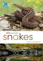 Węże Rspb Spotlight - Rspb Spotlight Snakes