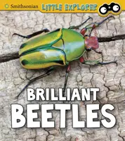 Genialne żuki - Brilliant Beetles