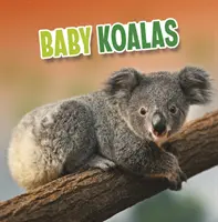 Małe koale - Baby Koalas