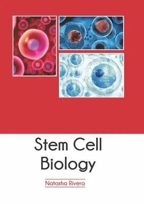 Biologia komórek macierzystych - Stem Cell Biology