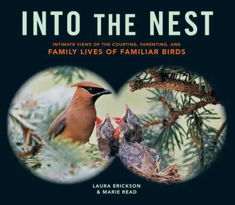 Into the Nest: Intymne spojrzenie na zaloty, rodzicielstwo i życie rodzinne znanych ptaków - Into the Nest: Intimate Views of the Courting, Parenting, and Family Lives of Familiar Birds