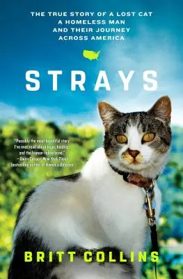 Strays: Prawdziwa historia zagubionego kota, bezdomnego mężczyzny i ich podróży przez Amerykę - Strays: The True Story of a Lost Cat, a Homeless Man, and Their Journey Across America