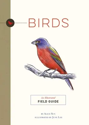 Ptaki: Ilustrowany przewodnik terenowy - Birds: An Illustrated Field Guide