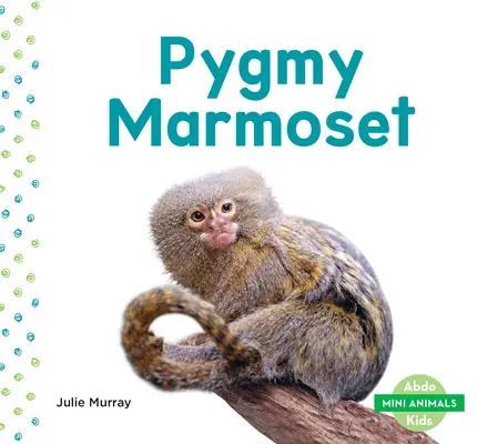 Marmozeta karłowata - Pygmy Marmoset