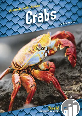 Kraby - Crabs