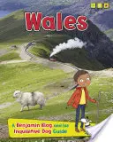 Walia - Blog Benjamina i jego dociekliwego przewodnika z psem - Wales - A Benjamin Blog and His Inquisitive Dog Guide