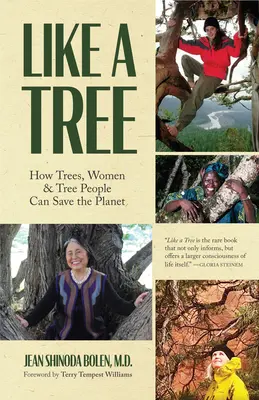 Jak drzewo: jak drzewa, kobiety i ludzie mogą ocalić planetę (ekofeminizm, aktywizm środowiskowy) - Like a Tree: How Trees, Women, and Tree People Can Save the Planet (Ecofeminism, Environmental Activism)