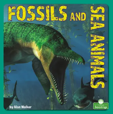 Skamieniałości i zwierzęta morskie - Fossils and Sea Animals