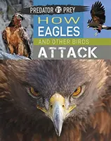 Drapieżnik kontra ofiara: jak atakują orły i inne ptaki! - Predator Vs Prey: How Eagles and Other Birds Attack!