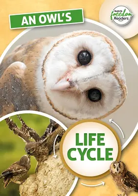 Cykl życia sowy - Owl's Life Cycle