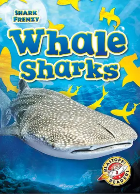 Rekiny wielorybie - Whale Sharks