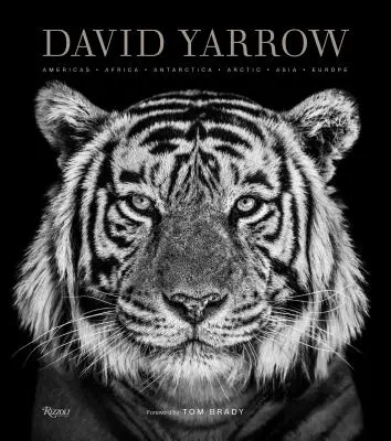 Fotografia Davida Yarrowa: Ameryka Afryka Antarktyda Arktyka Azja Europa - David Yarrow Photography: Americas Africa Antarctica Arctic Asia Europe