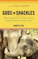 Bogowie w kajdanach - czego słonie mogą nas nauczyć o empatii, odporności i wolności - Gods in Shackles - What Elephants Can Teach Us About Empathy, Resilience and Freedom