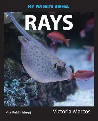 Moje ulubione zwierzę: Promienie - My Favorite Animal: Rays