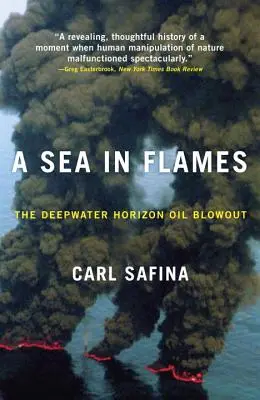 Morze w płomieniach: Wyciek ropy na platformie Deepwater Horizon - A Sea in Flames: The Deepwater Horizon Oil Blowout