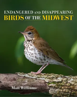 Zagrożone i ginące ptaki Środkowego Zachodu - Endangered and Disappearing Birds of the Midwest