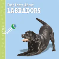 Szybkie fakty o labradorach - Fast Facts About Labradors