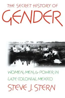 The Secret History of Gender: Kobiety, mężczyźni i władza w późnym kolonialnym Meksyku - The Secret History of Gender: Women, Men, and Power in Late Colonial Mexico