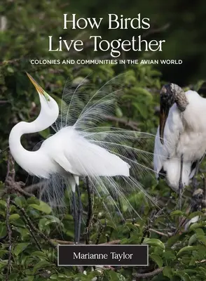 Jak ptaki żyją razem: Kolonie i społeczności w świecie ptaków - How Birds Live Together: Colonies and Communities in the Avian World