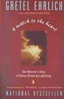 Dopasowanie do serca: Historia jednej kobiety porażonej piorunem - A Match to the Heart: One Woman's Story of Being Struck by Lightning