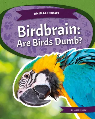 Birdbrain: Czy ptaki są głupie? - Birdbrain: Are Birds Dumb?