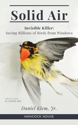 Solid Air: Niewidzialny zabójca - ratowanie ptaków przed oknami - Solid Air: Invisible Killer- Saving Birds from Windows