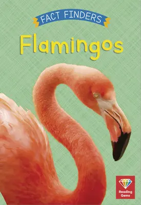 Flamingi - Flamingos