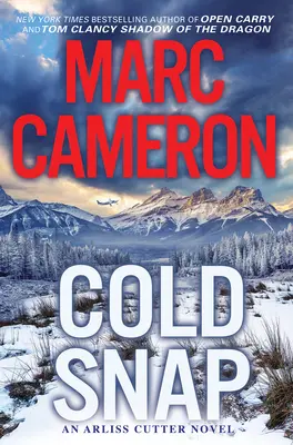 Cold Snap: Trzymająca w napięciu powieść akcji - Cold Snap: An Action Packed Novel of Suspense