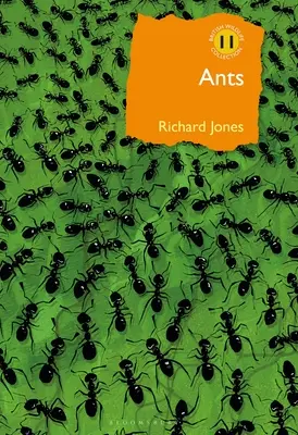 Mrówki: Najbardziej towarzyskie owady - Ants: The Ultimate Social Insects