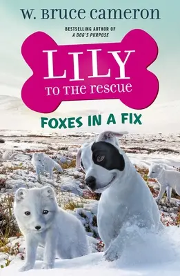 Lily na ratunek: Lisy w opałach - Lily to the Rescue: Foxes in a Fix