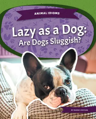 Leniwy jak pies: Czy psy są ospałe? - Lazy as a Dog: Are Dogs Sluggish?