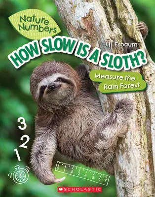 Jak powolny jest leniwiec (Liczby przyrodnicze): Zmierz las deszczowy - How Slow Is a Sloth? (Nature Numbers): Measure the Rainforest