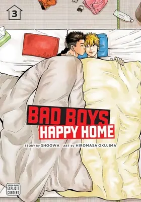 Bad Boys, Happy Home, Vol. 3: Tom 3 - Bad Boys, Happy Home, Vol. 3: Volume 3