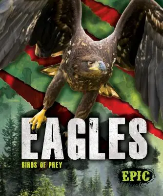 Orły - Eagles