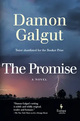 The Promise: A Novel (zdobywca nagrody Bookera) - The Promise: A Novel (Booker Prize Winner)